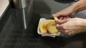 Суп из сушеных грибов