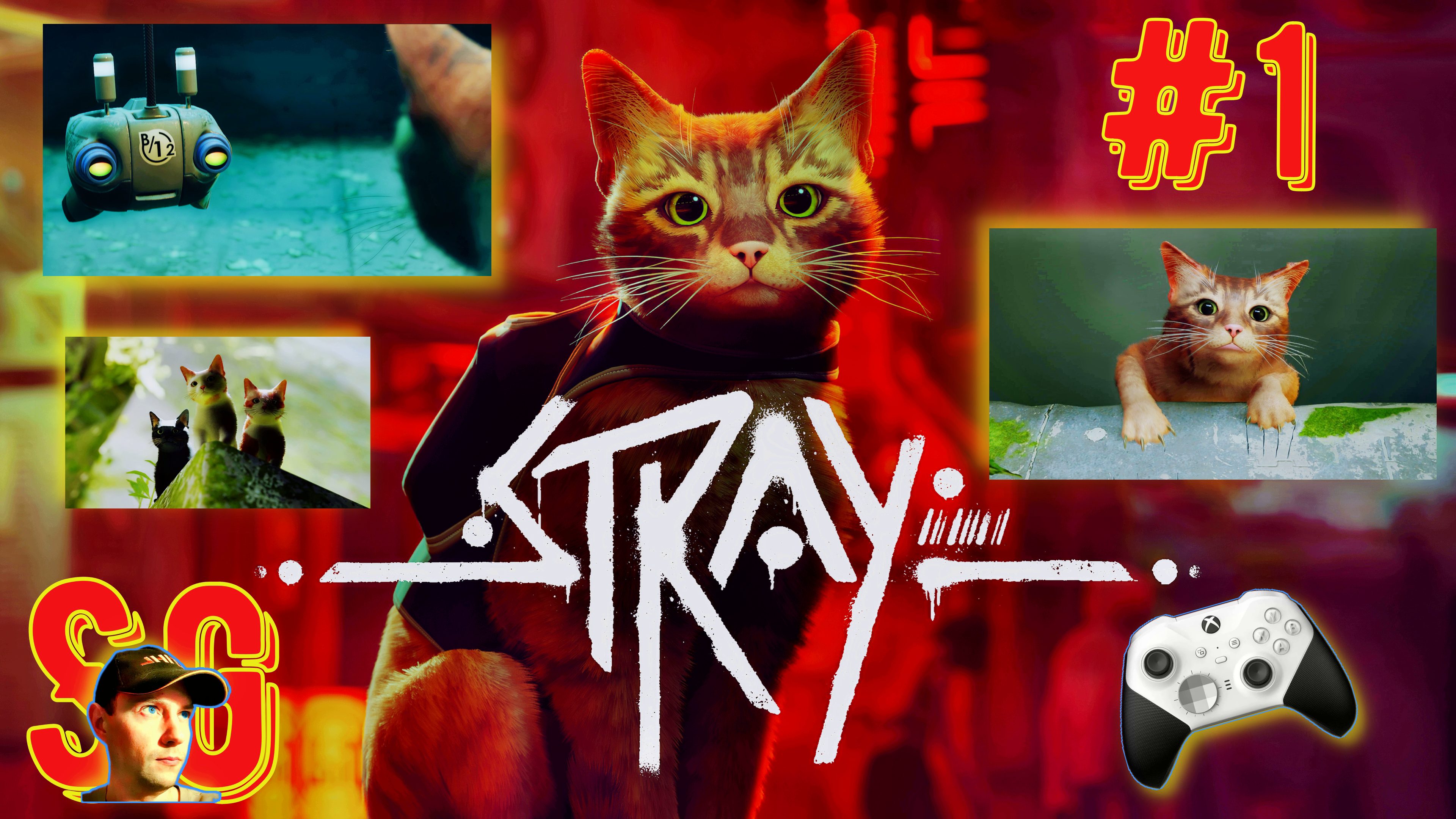 #1. Stray. Бродячий кот. Симулятор кота. Приключение котэ. Подземный город. Опасность. Новые друзья.