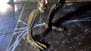КСЕНОМОРФ ВОИН Обзор Фигурки Neca / История Персонажа (Xenomorph Warrior Action Figure Review)
