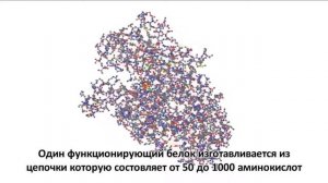 Доказательства Бога факты и исследования