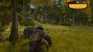 Cabela's Big Game Hunter 2009 : GeForce 8600M GT