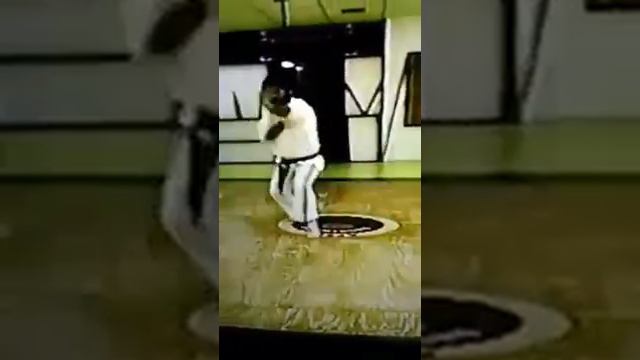 O SENSEI Vasilios Katsaitis/Sorín Ryu Martial arts Academy