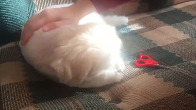 ВЛОГ:  Какой он противный / Ещё один день в деревне смотреть онлайн