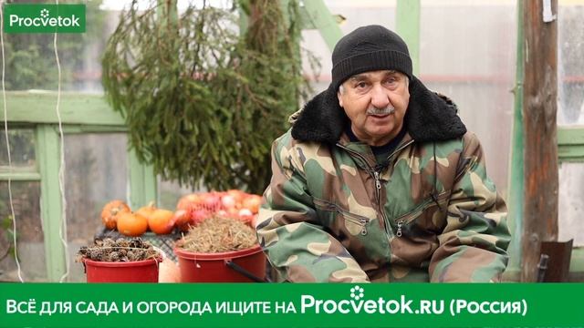 СОСНОВЫЕ ШИШКИ – ТРОЙНАЯ ПОЛЬЗА В ОГОРОДЕ И САДУ!