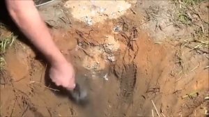 Парень залил муравейник алюминием, шок!
