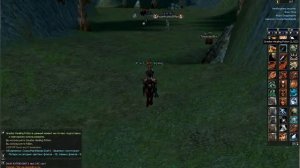 T0R memory lane Lineage 2 паладин/paladin пвп/pvp