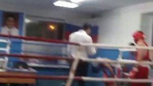 Чугунов Алексей. БК "Чемпион"