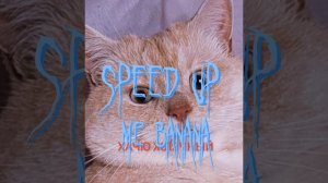 Я банан ( speed up )