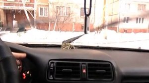 Прерыватель стеклоочистителя с регулировкой паузы