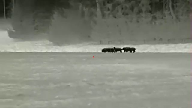 Infiray saim sct 35 12μm смотреть онлайн