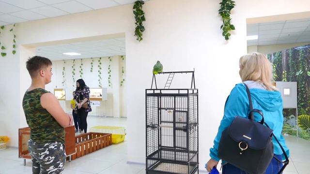 зоопарк лето смотреть онлайн