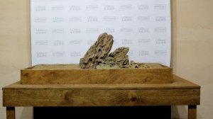 мастер класс от Михаила Горяева Ивагуми за 2 минуты