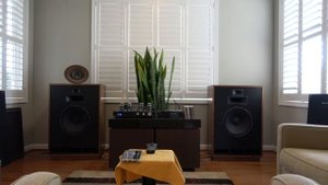 Beautiful Distortion:  System A - Klipsch Cornwall III, Rogue Cronos Mag III, Teac NT-503.