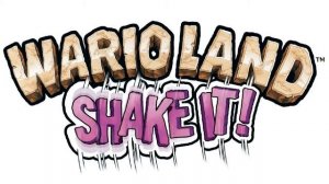 Bloomsday   Wario Land  Shake It! Music Extended HD