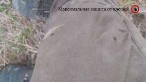 Лучшая защита от клещей - Костюм биостоп и гардекс