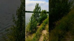 Природа Донецкого края. Лето 2021