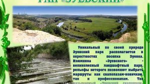 Презентация Жемчужины природы Донбасса