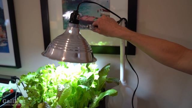 4 Easy Grow Light Set Ups for Starting Seeds Indoors // Spring Garden Series