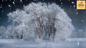 Рассказ мужчины | Измена жены. Роман на работе и развод. Реальная история