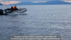 риб буревестник