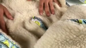 Детский зимний комбинезон-трансформер