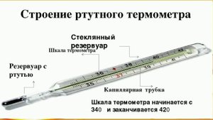 Лабораторный практикум. Правила измерения температуры тела человека.
