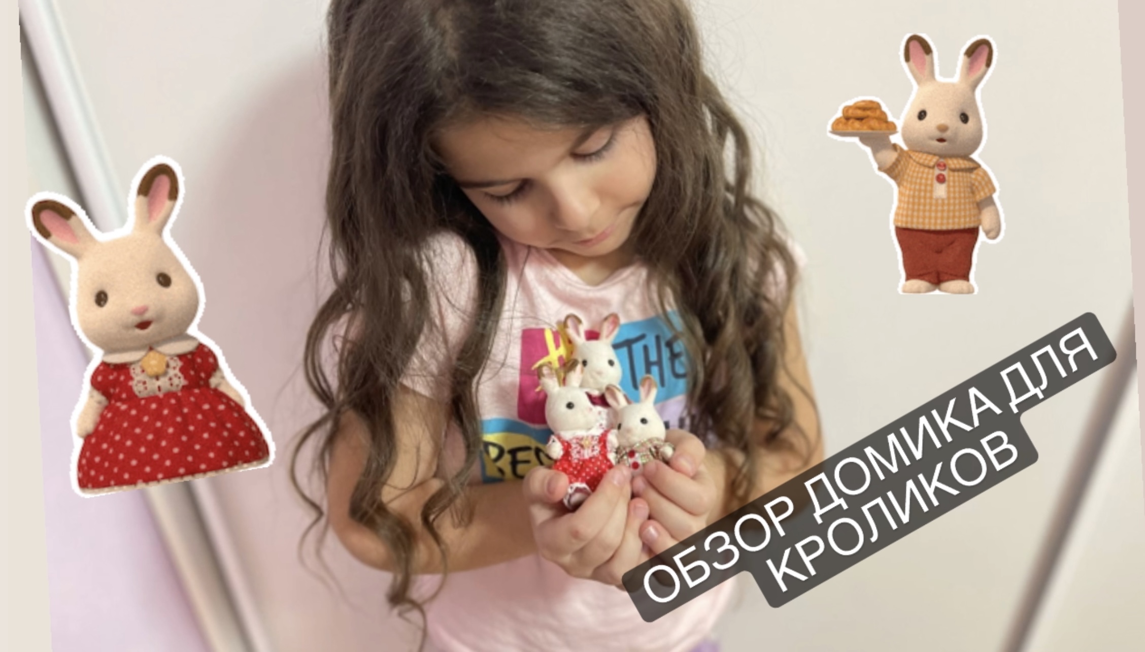 Обзор домика для кроликов