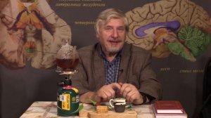 С. Савельев. Не пренебрегайте органами чувств.mp4
