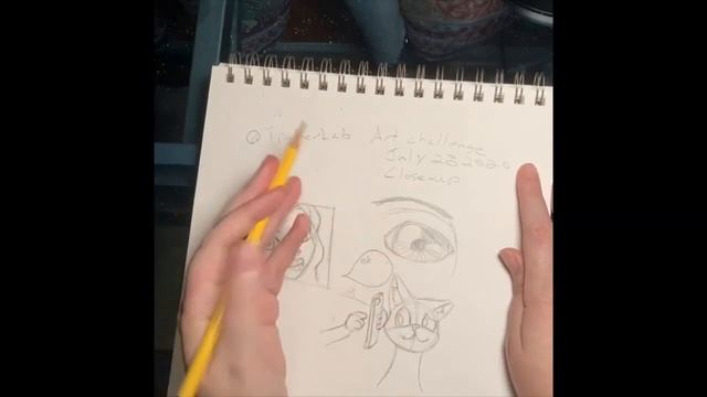 Sketch up TinkerLab Close Up смотреть онлайн