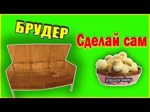 Брудер для цыплят из трубы и поликарбоната  Размеры брудера для цыплят