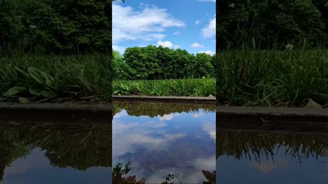 Ботанический сад им. Косенко — отличное место для прогулок в Краснодаре. ?