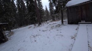 ?С БАТЕЙ НА КОРДОН/6 ДНЕЙ В ЛЕСУ/НОЯБРЬ 2020г./Посетил соседний кордон/Охота/Быт в избе/ЧАСТЬ 1