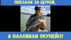 Поехали за щукой, а наловили окуней!!!