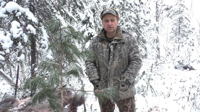 Как сохранить мясо от птиц. Знания старого охотника смотреть онлайн