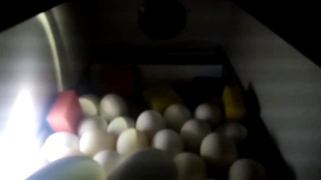 Овоскопирование гусиных и утиных яиц смотреть онлайн