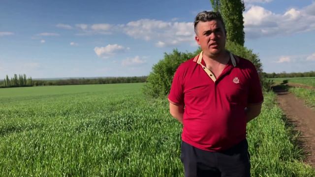 Выращивание пшеницы. Фунгицидная обработка. Обзор опыскивателя смотреть онлайн