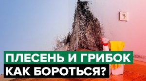 Грибок и плесень внутри помещения | Как очистить и защитить поверхность