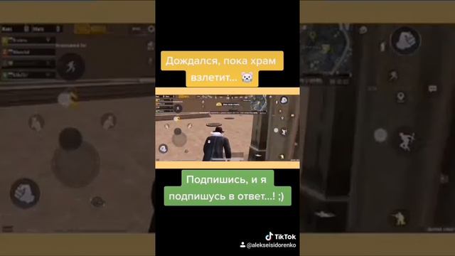 Играем в крысу... #пабг #пубг #pubg #pubgmobile #mobile #мышь #крыса #новое #храм