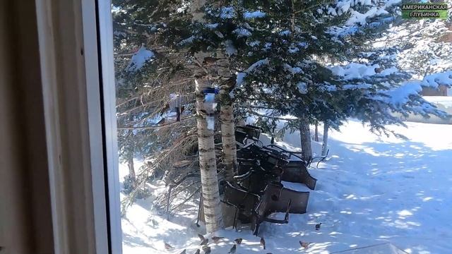 Семейный блог. Жизнь в Америке. Влог 028.