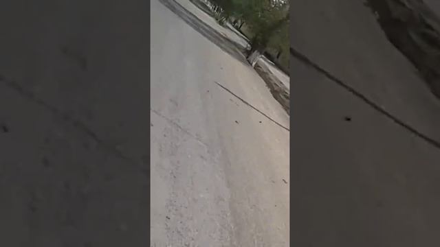 Шымбай группа
