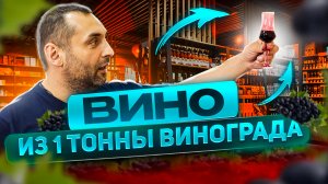 ВИНО из 1 тонны винограда (часть 2)