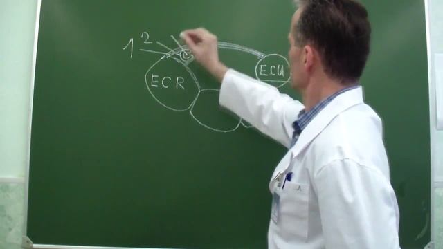 Каналы передней поверхности запястья