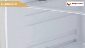 Холодильник Бирюса 6031