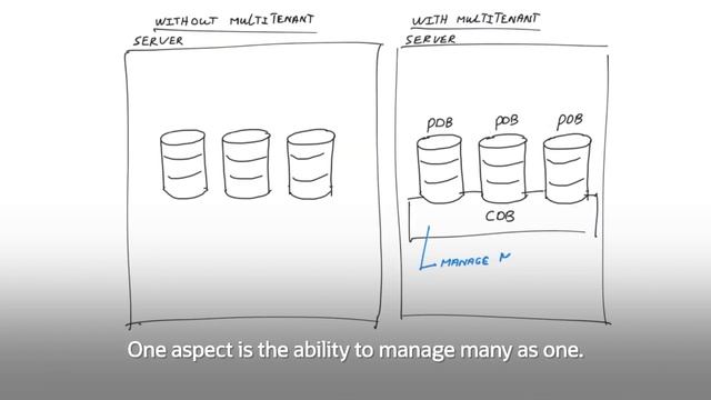 Oracle Database - Multitenant смотреть онлайн
