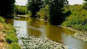 Поход выходного дня. с. Савино. с. Русское Бурнашево. с. Тихий плес.