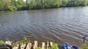 РЫБАЛКА НА ФИДЕР. ДРАЧЕВО. ЧЕХОНЬ. КАНАЛ МОСКВЫ.