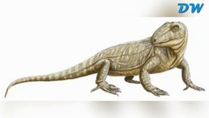 Эволюционнная история и классификация синапсид | Часть 1