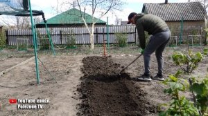 ВЫРАЩИВАНИЕ МОРКОВИ В ЯИЧНЫХ КОНТЕЙНЕРАХ! БЫСТРЫЕ ВСХОДЫ И КРУПНЫЙ УРОЖАЙ