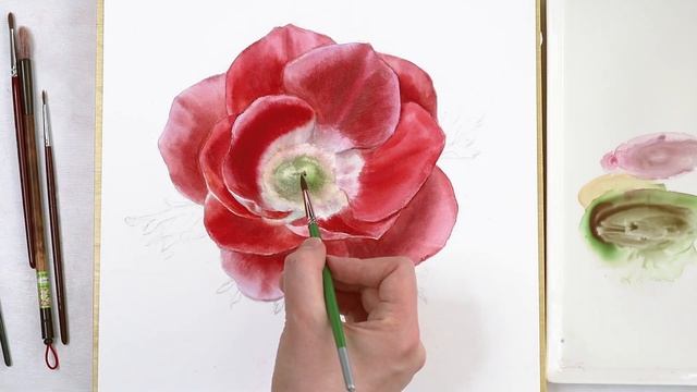 Мастер-класс Красный Анемон акварелью смотреть онлайн