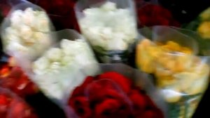 Роза из Эквадора типа "В".